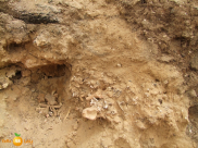 الشرطة الفلسطينية تعلن العثور على رفات 11 شخصا في ضواحي القدس